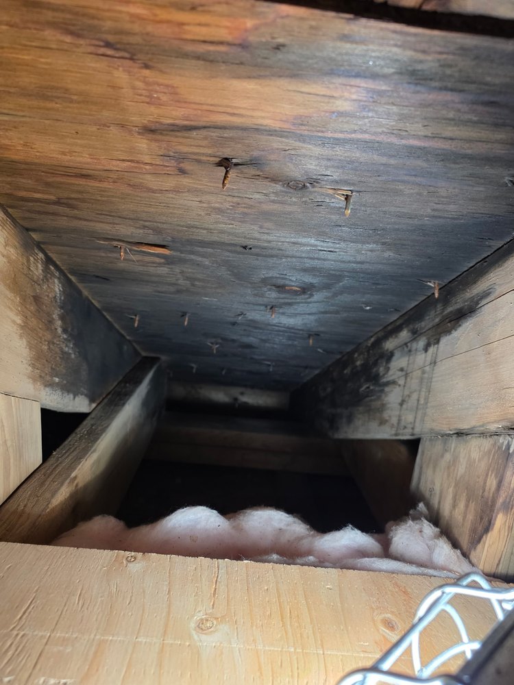 Attic roof decking and framing with dark staining and discoloration during an NGA Restoration inspection in North Branford, CT.