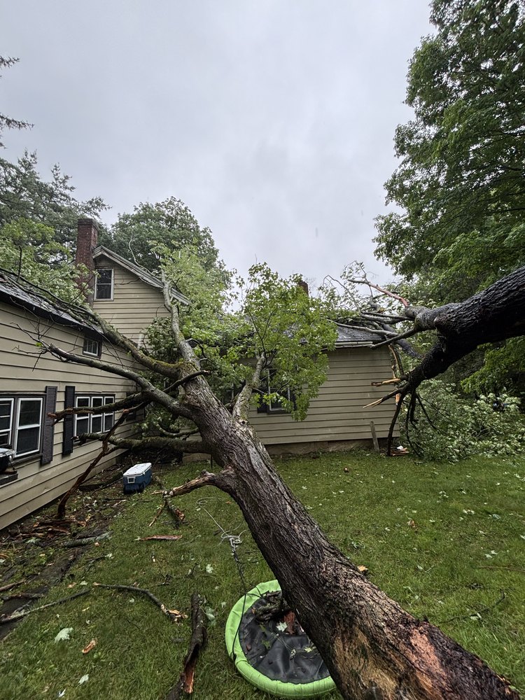 Storm damage in Salisbury, CT: a fallen tree resting across the roof of a home.